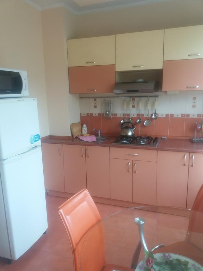 Flat Apartment Almaty Ngoại thất bức ảnh